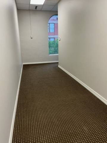 Fresh vacuum lines in a clean carpeted hallway